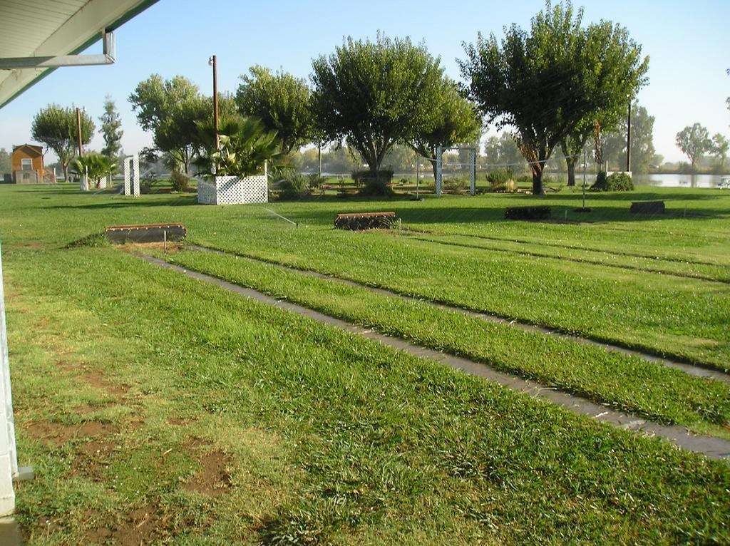 Lake Minden Camping Resort Cottage 2 Nicolaus Εξωτερικό φωτογραφία
